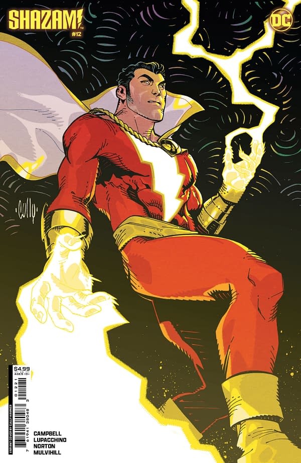 Cover image for Shazam #12