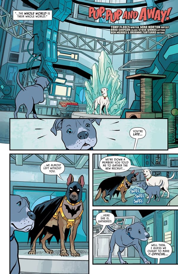 Interior preview page from Super-Pets Special: Bitedentity Crisis #1