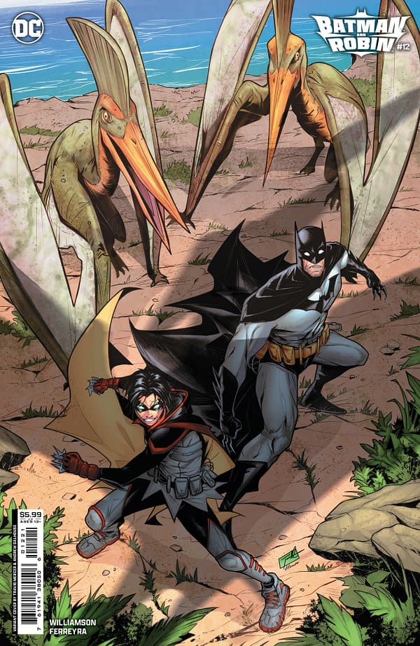 Cover image for Batman and Robin #12