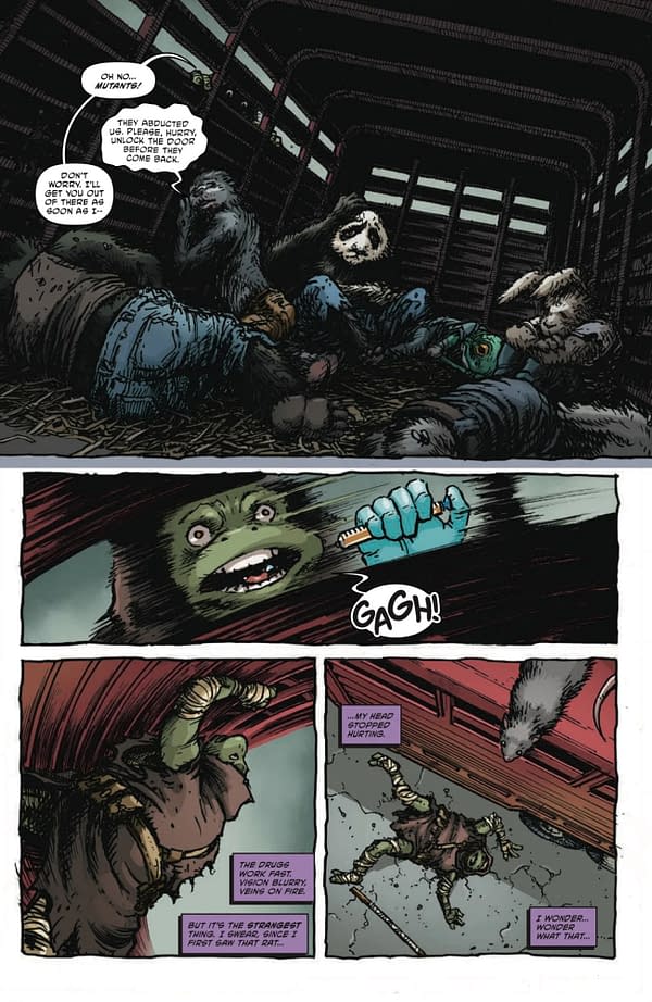 Interior preview page from TEENAGE MUTANT NINJA TURTLES #4 RAFAEL ALBUQUERQUE COVER