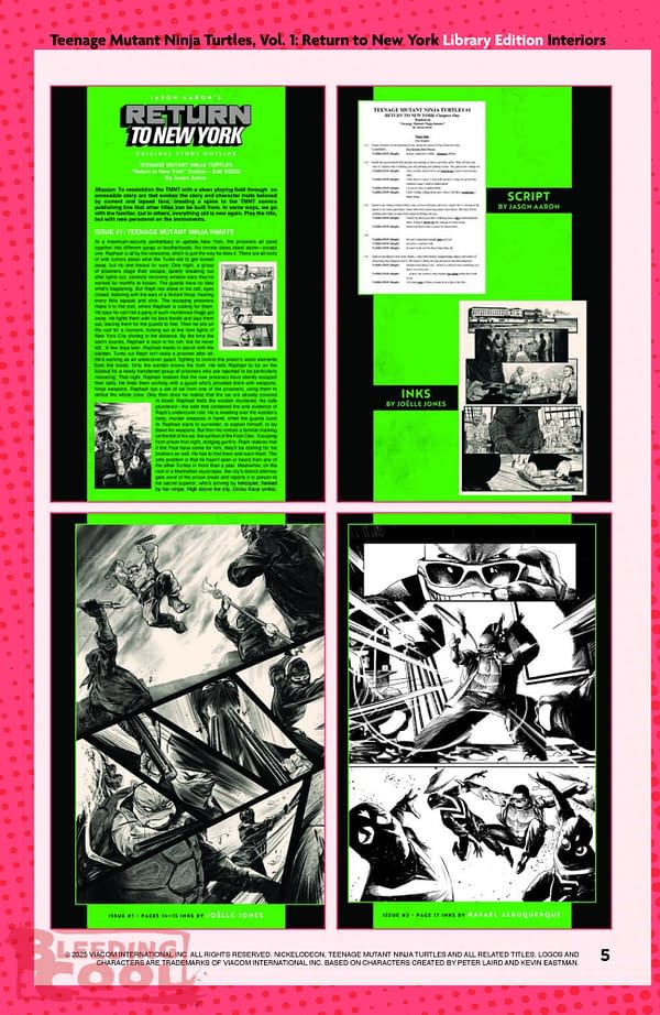 IDW June 2025 Solicits