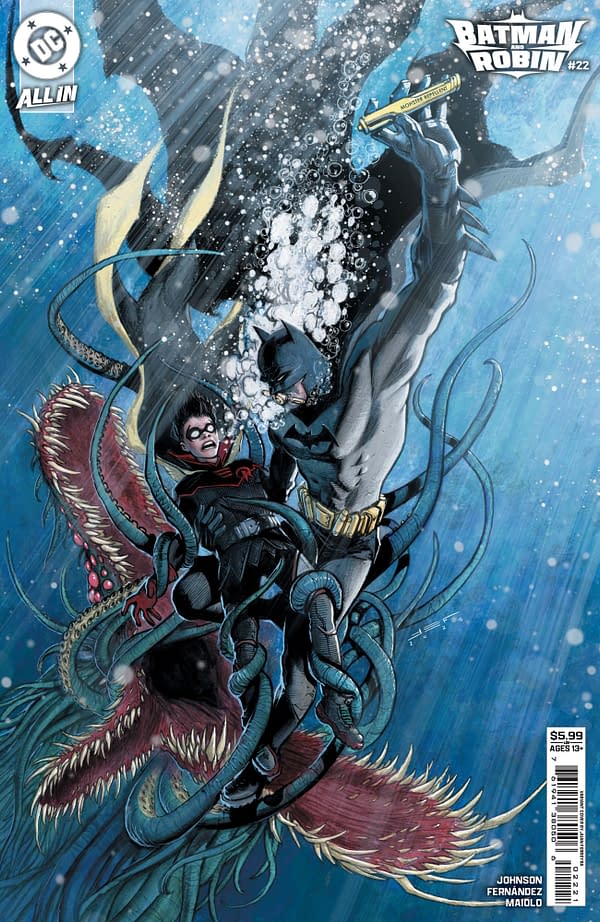 Cover image for Batman and Robin #22