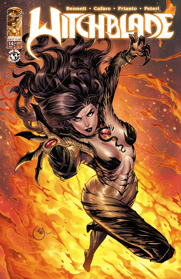 Cover image for Witchblade #14