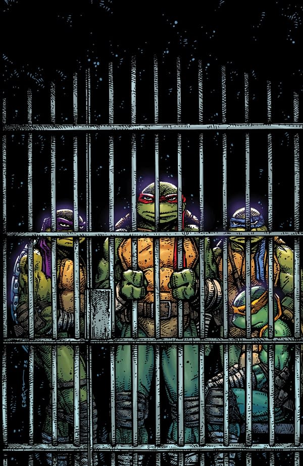 Cover image for Teenage Mutant Ninja Turtles #11 Variant RI (10) (Eastman Full Art)