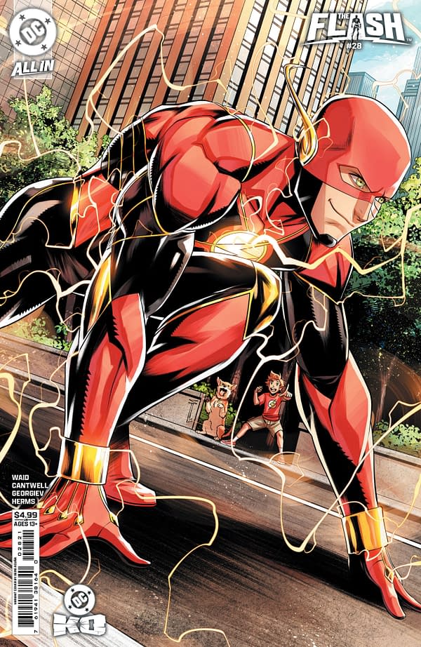 Cover image for Flash #28