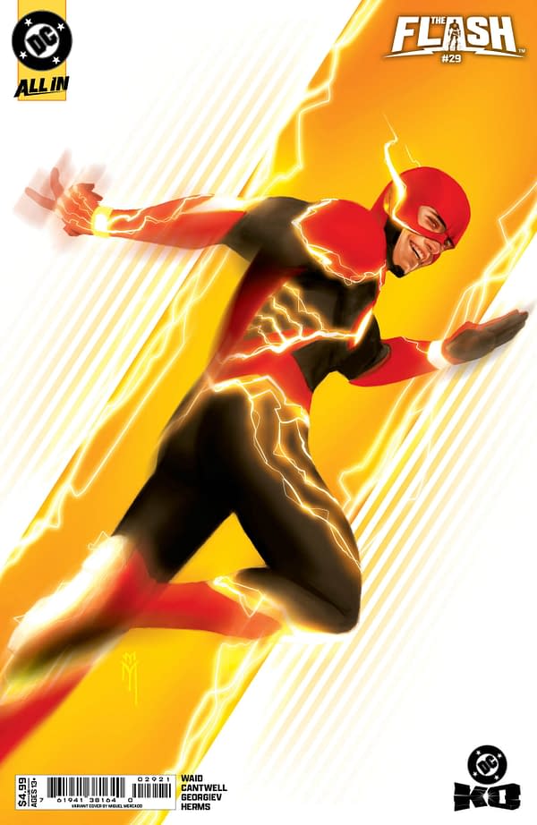 Cover image for Flash #29