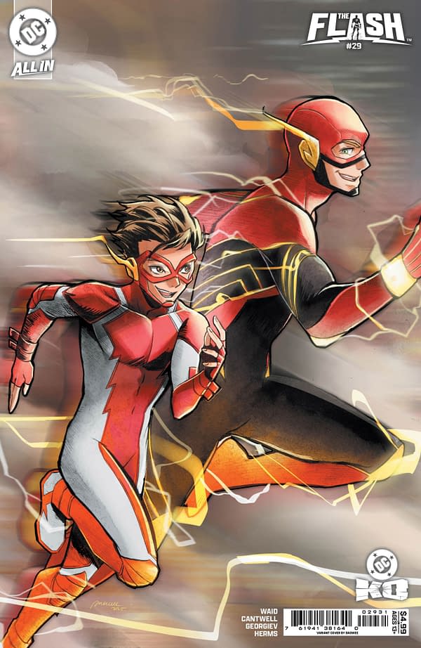 Cover image for Flash #29