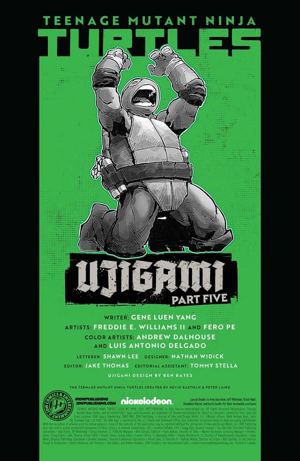 Interior preview page from TEENAGE MUTANT NINJA TURTLES #17 FREDDIE E. WILLIAMS II COVER