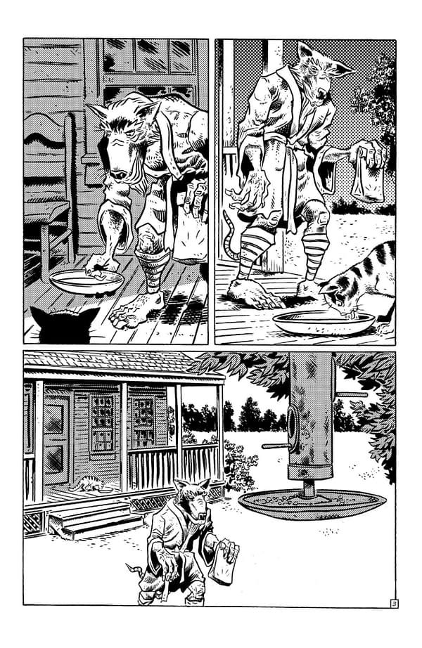 Interior preview page from TMNT: JOURNEYS #10 JIM LAWSON COVER