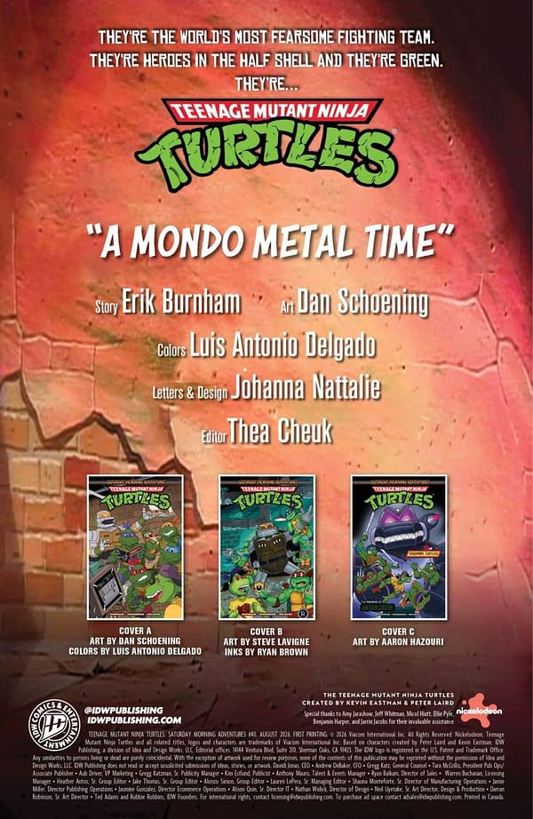 Interior preview page from TEENAGE MUTANT NINJA TURTLES: SATURDAY MORNING ADVENTURES #40 DAN SCHOENING COVER