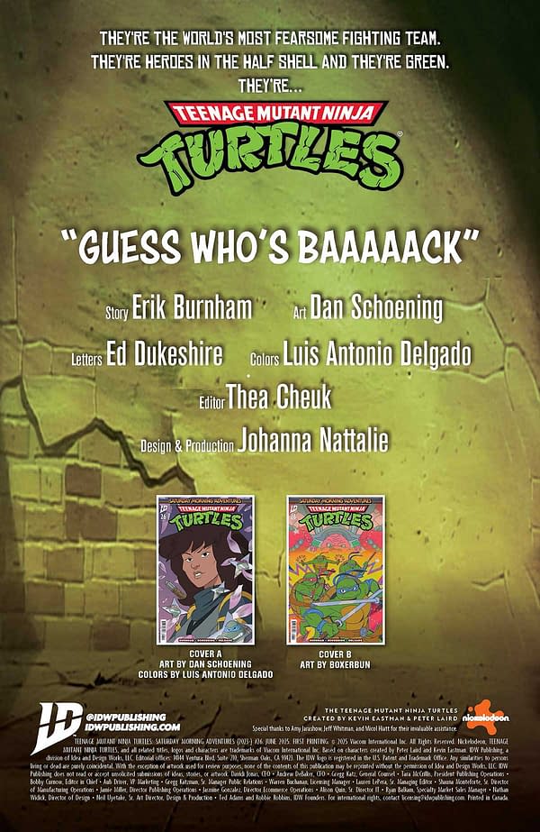 Interior preview page from TMNT: SATURDAY MORNING ADVENTURES 2 #26 DAN SCHOENING COVER