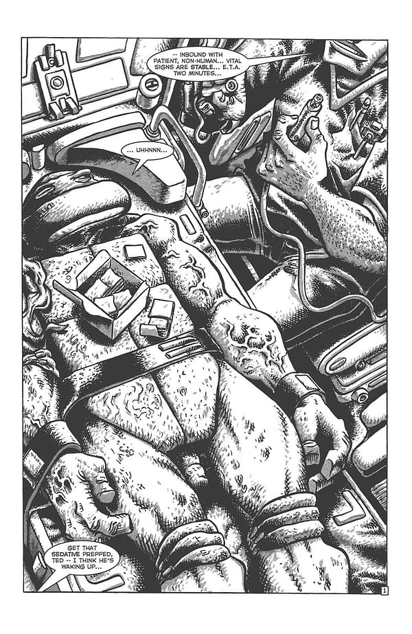 Interior preview page from TMNT: JOURNEYS #2 PETER LAIRD COVER