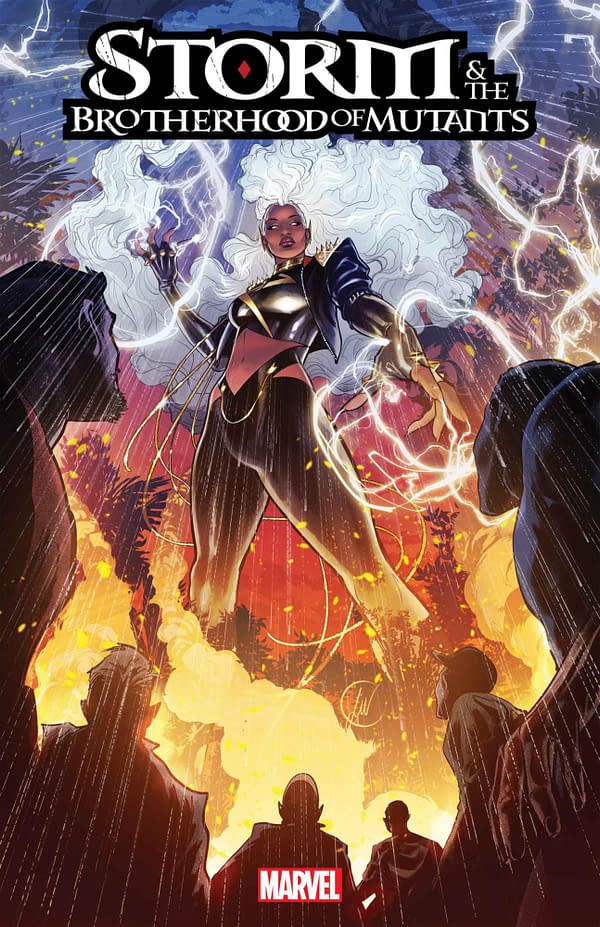 Cover image for STORM & THE BROTHERHOOD OF MUTANTS 1 WERNECK STORMBREAKERS VARIANT [SIN]