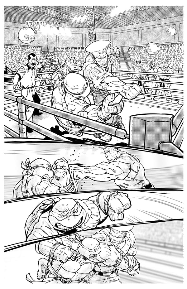 Teenage Mutant Ninja Turtles vs. Street Fighter in New Comic at IDW