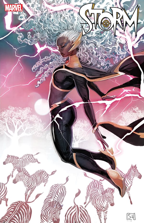 Cover image for STORM #2 STEPHANIE HANS VARIANT