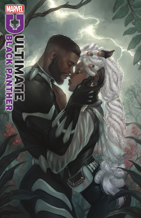 Cover image for ULTIMATE BLACK PANTHER #23 MEGHAN HETRICK VARIANT
