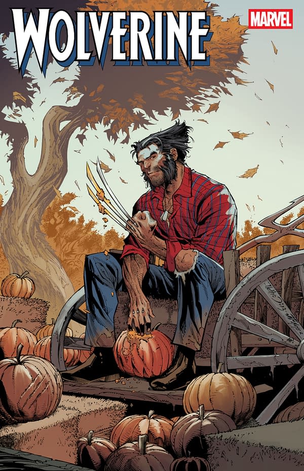 Cover image for WOLVERINE #27 NETHO DIAZ FALL FANTASIES VARIANT