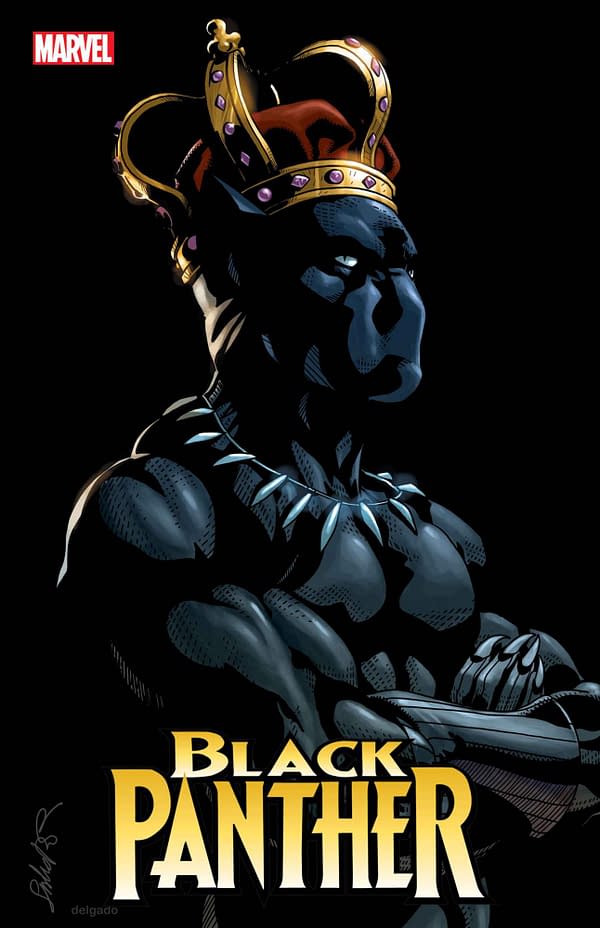 Cover image for BLACK PANTHER 2 SALVADOR LARROCA VARIANT
