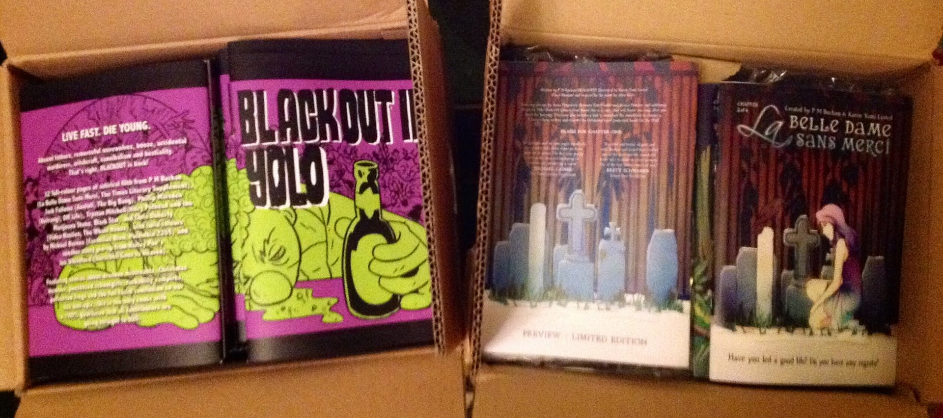BLACKOUT II and LBDSM 2 ready to sell at Thought Bubble