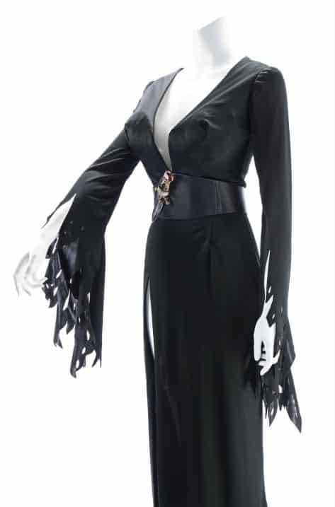 Wanna Buy Elvira Mistress of the Dark's Dress AND Wig at Auction?