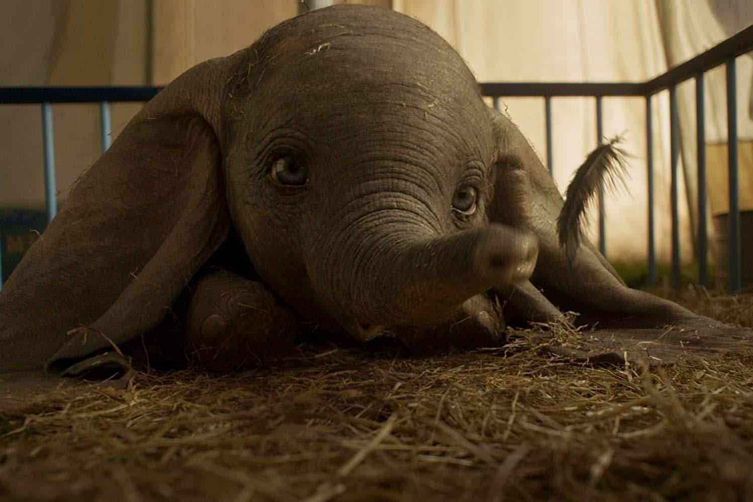 Dumbo Takes Flight in This New Clip from the Live-Action Remake