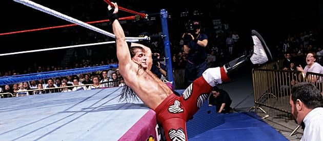 Royal Rumble 1995 Michaels