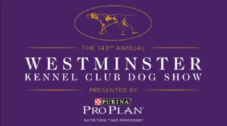 [2019 Westminster Kennel Club Dog Show] Your TV/Online Viewing Guide! [VIDEO]
