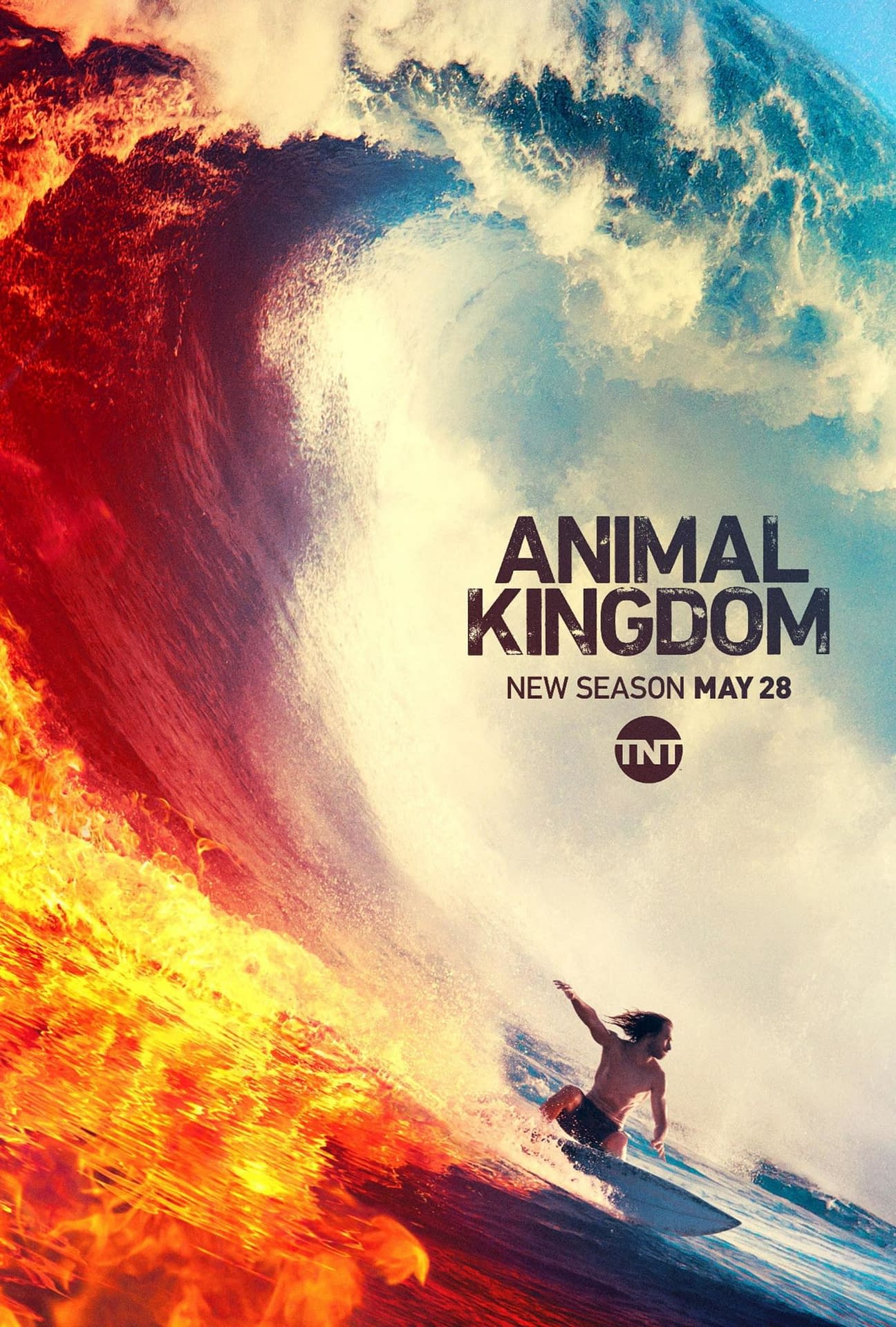 Animal Kingdom season 4 trailer and release date