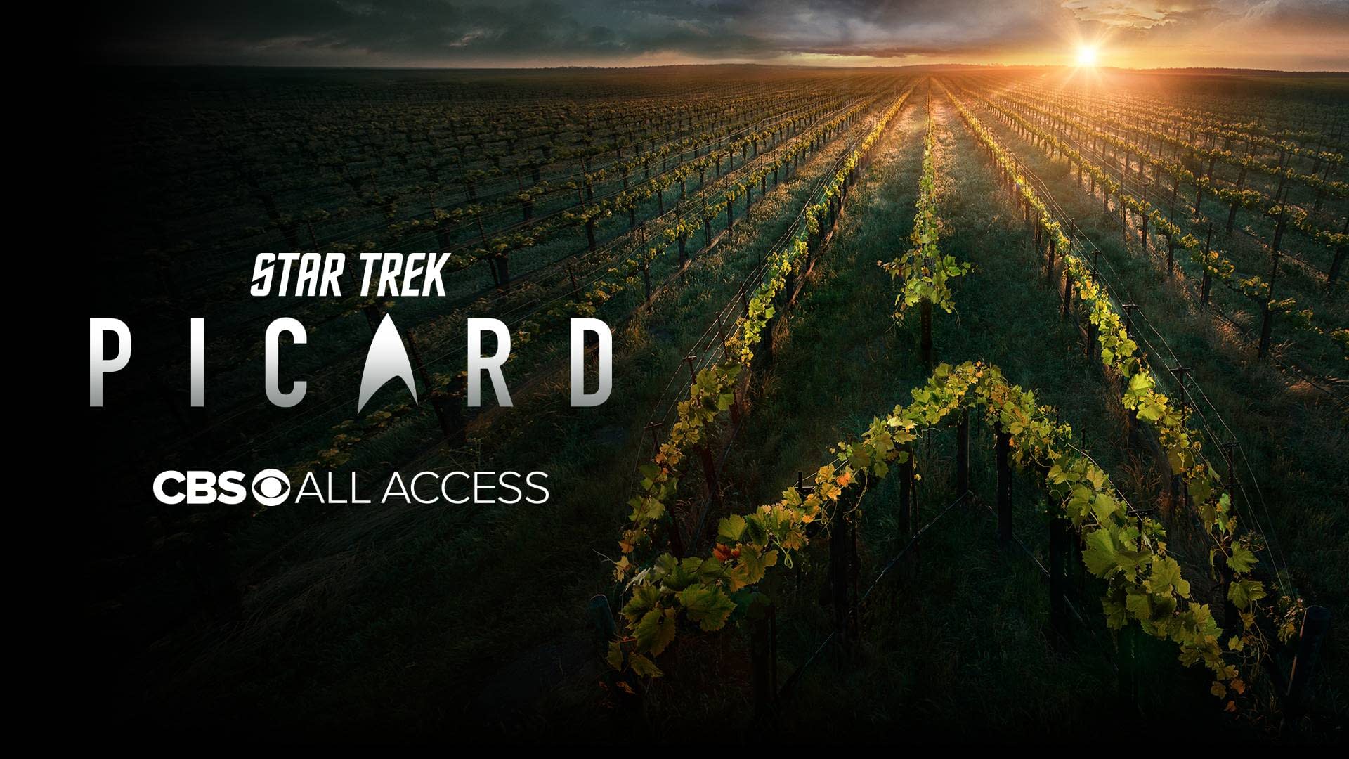 star trek picard