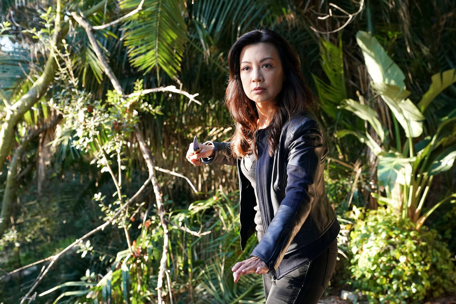 MARVEL'S AGENTS OF S.H.I.E.L.D. on ABC