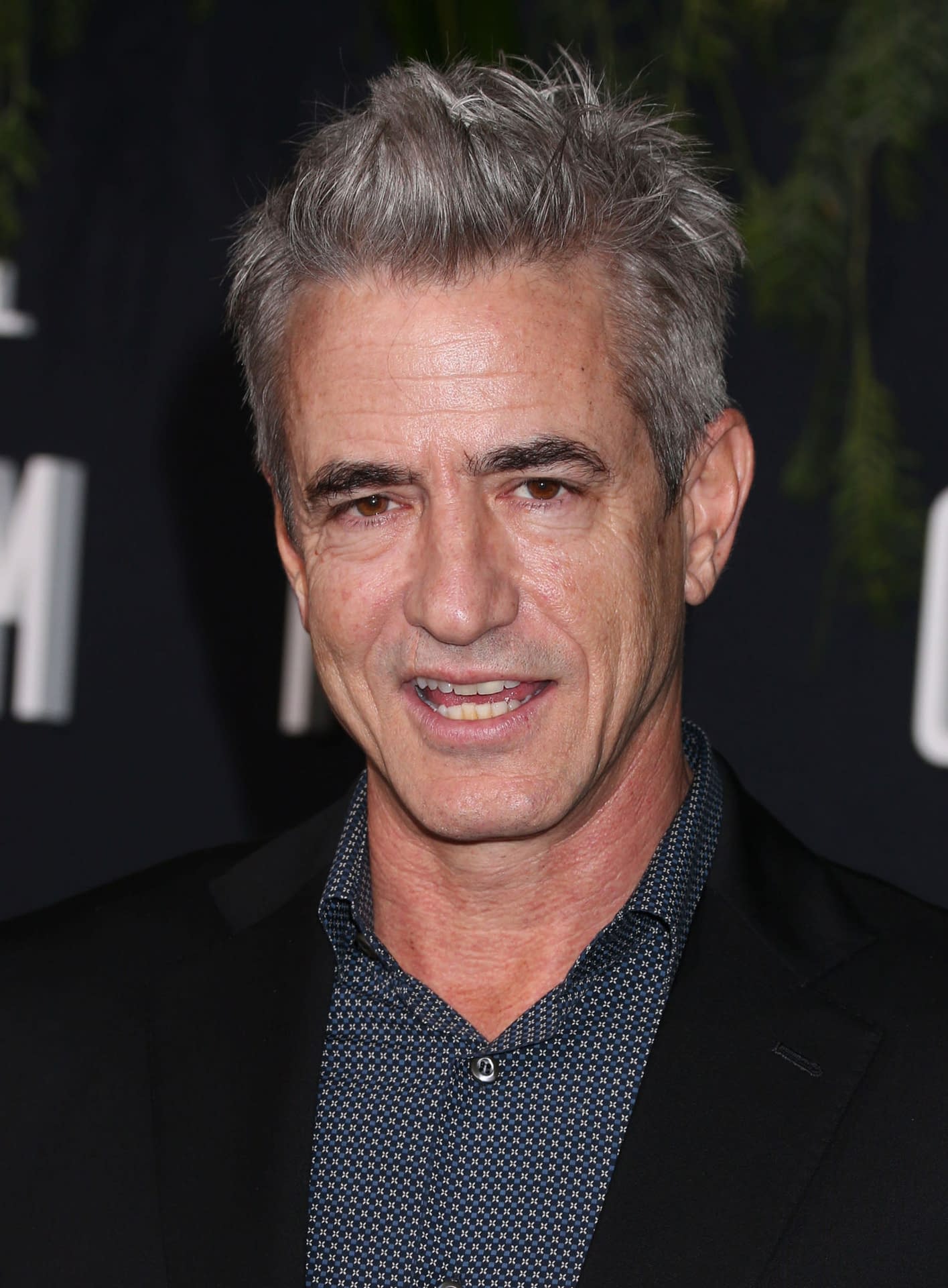 SCREAM 6 casts Dermot Mulroney