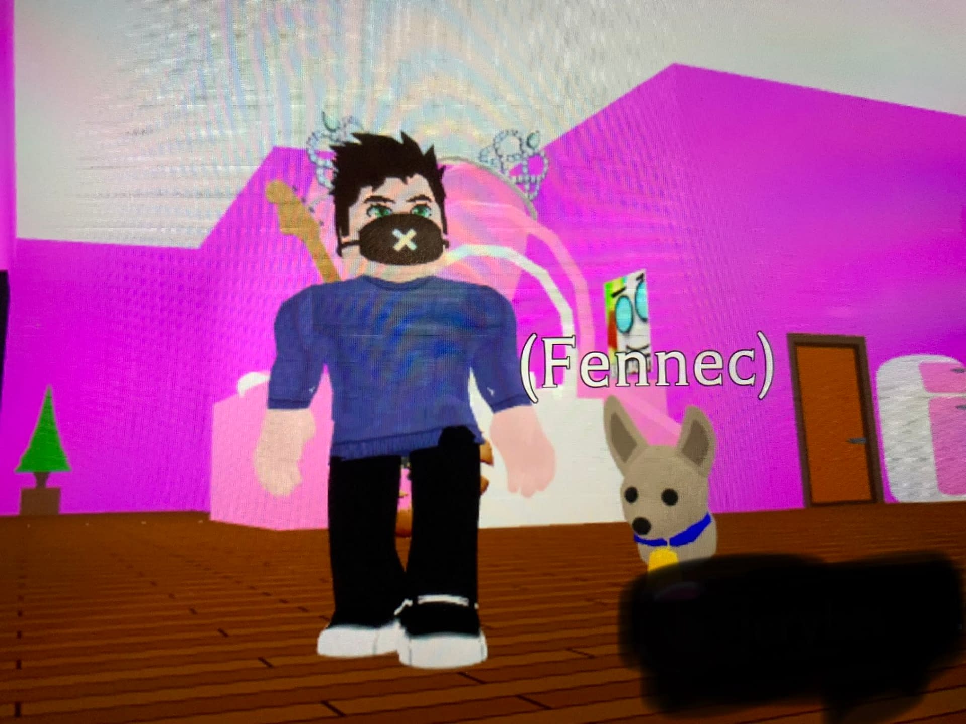 What does ABC mean in Roblox Adopt Me! in 2023?