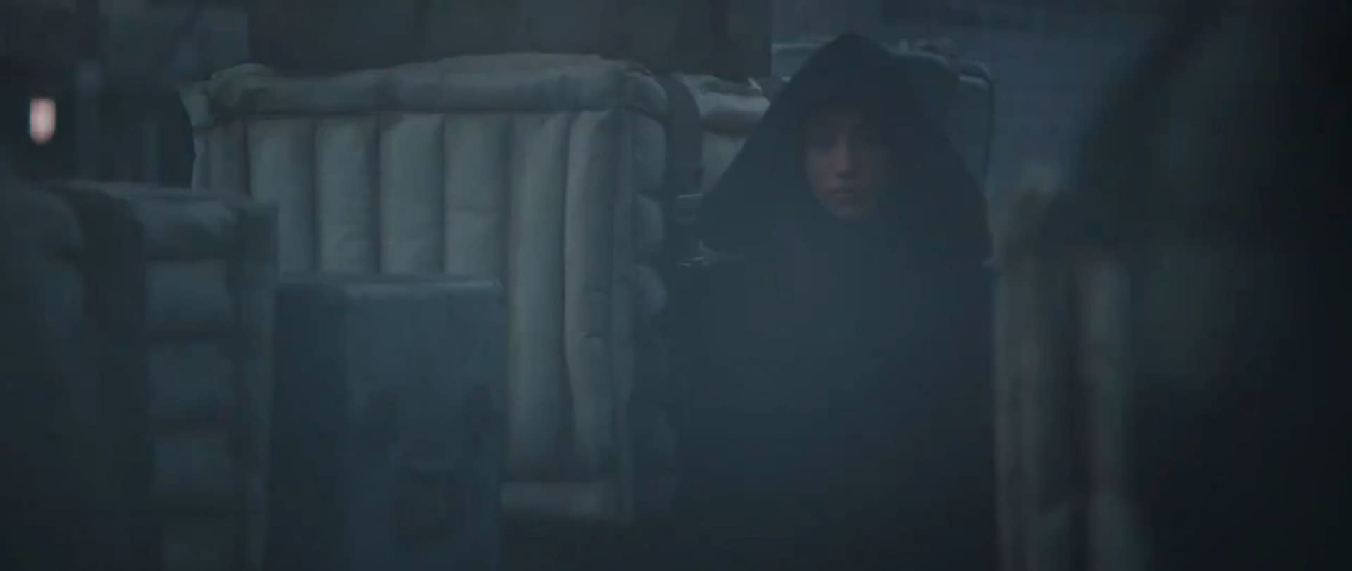 This is the first screencap of Sasha Banks in The Mandalorian Season 2 trailer. This is the first time we see Sasha in the trailer so it is obviously the best screencap.