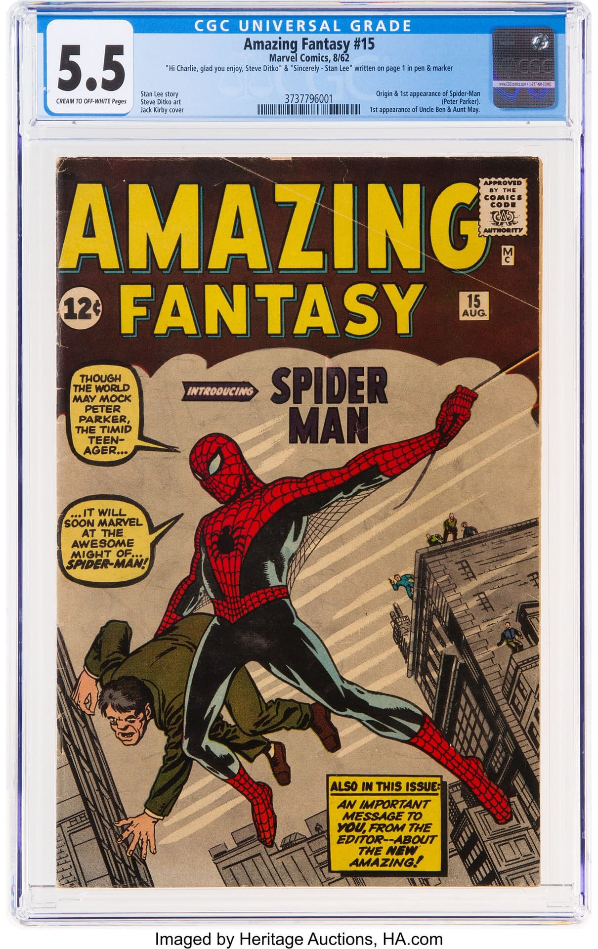 Amazing Fantasy #15 Spider-Man by Steve Ditko 11x14 FRAMED Marvel