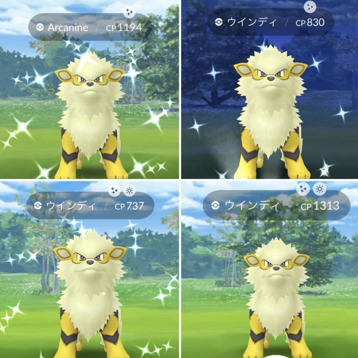 Pokémon GO > Pokémon Shiny
