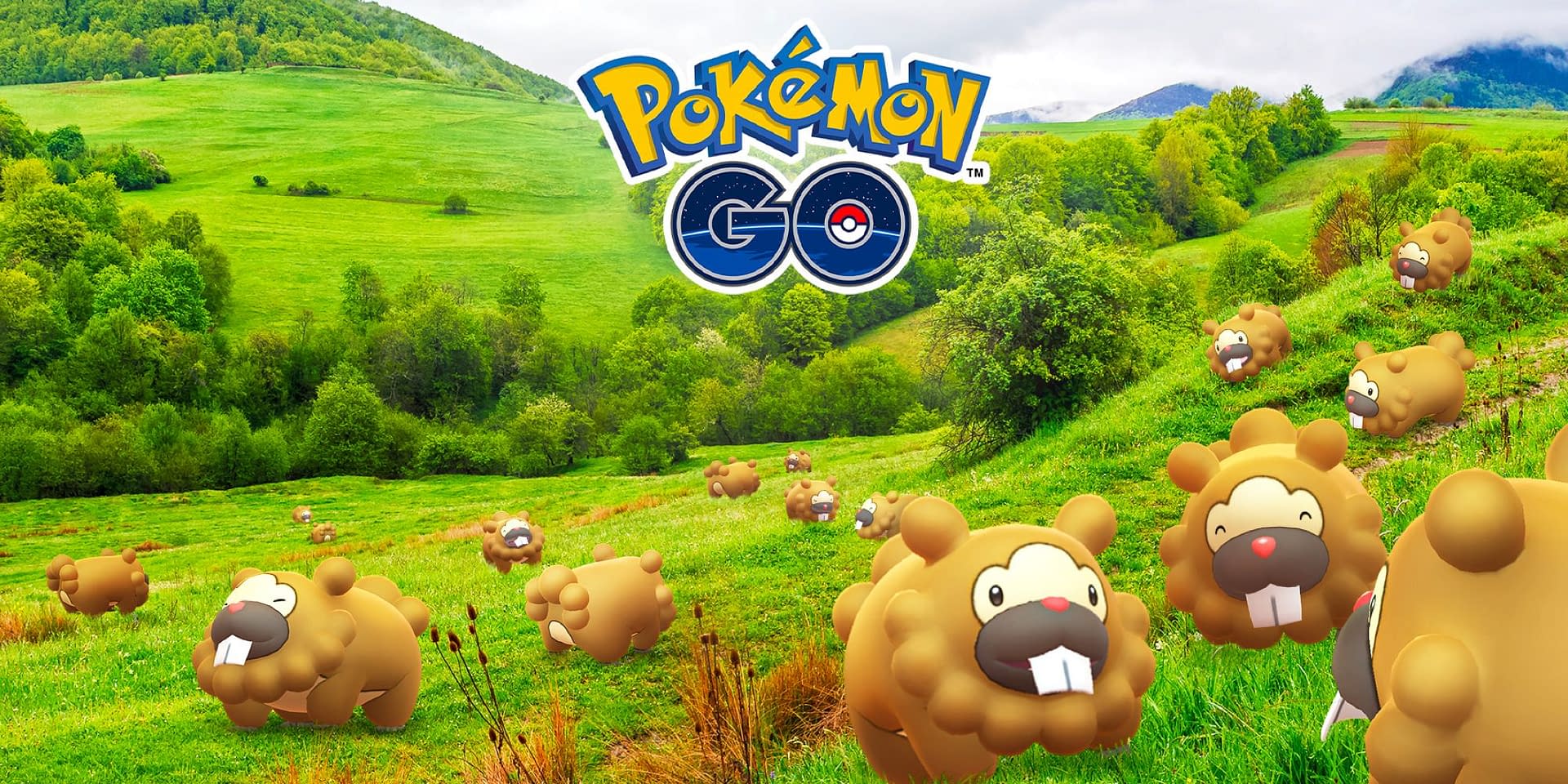 Bidoof raid deals