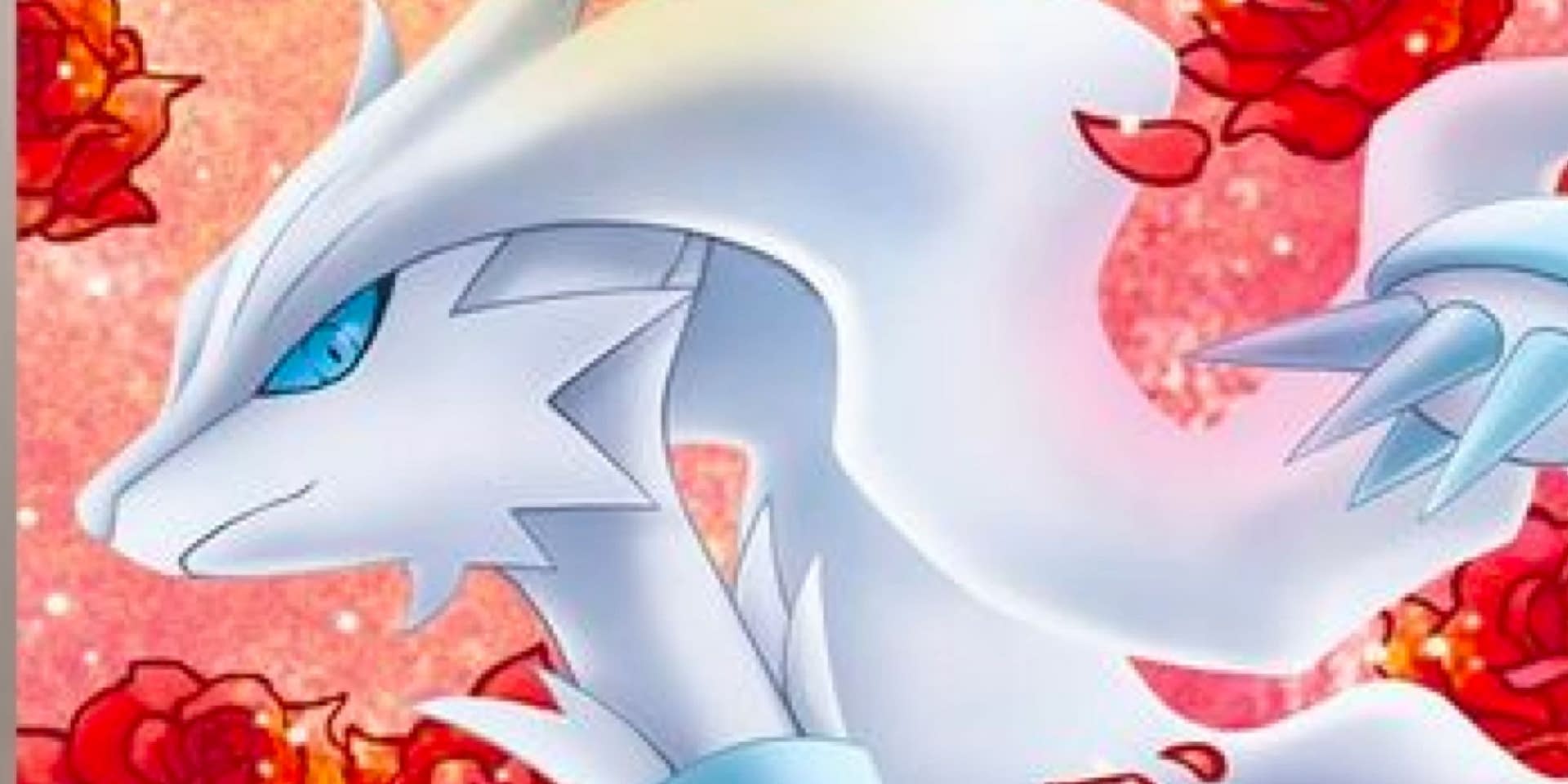 Pokemon Zekrom Reshiram 16