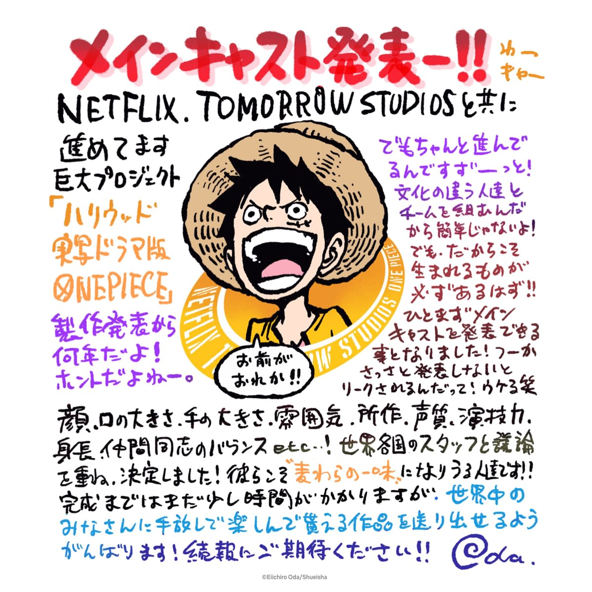 Tableau photo One Piece Série Netflix