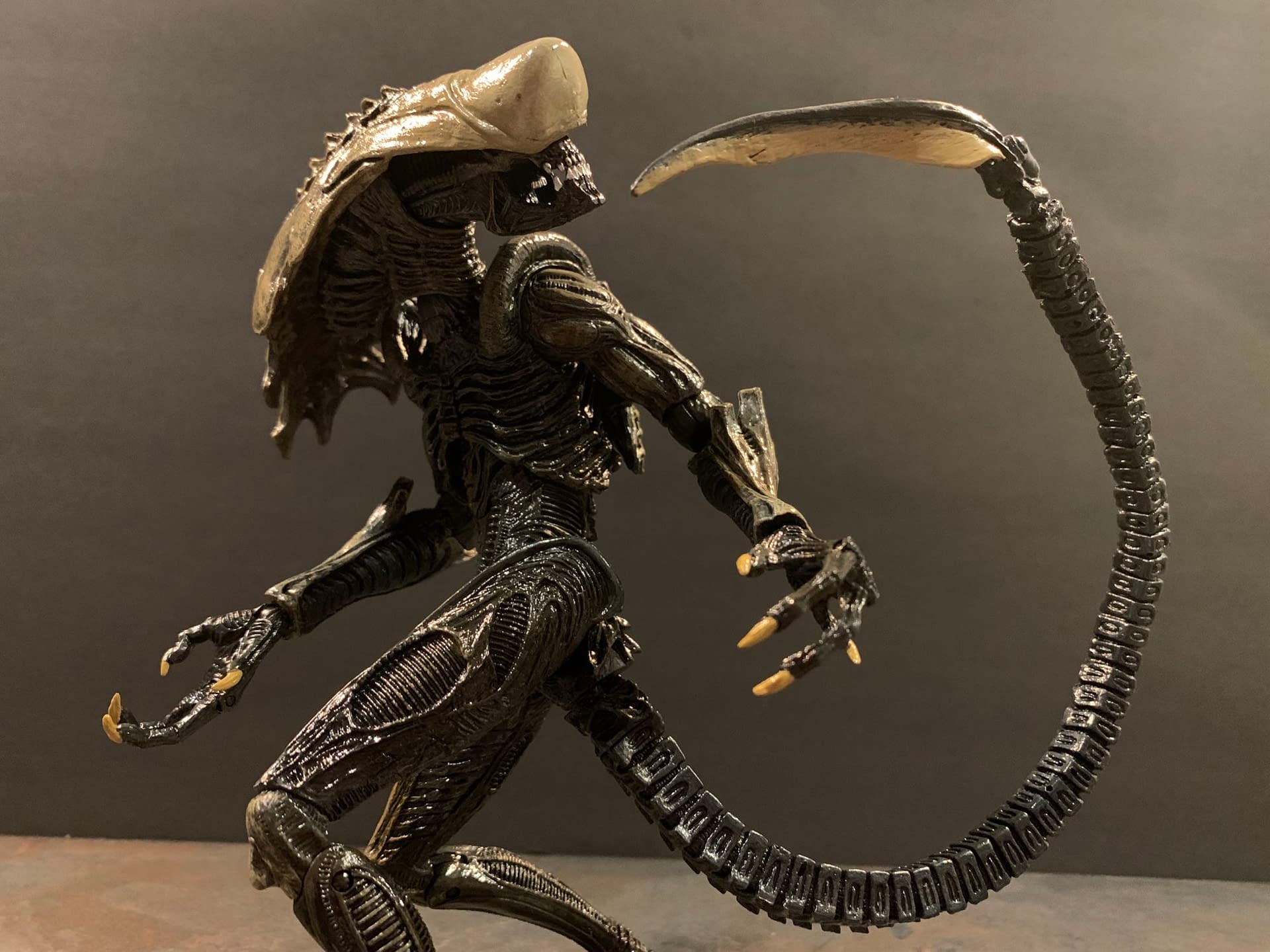 Hot Spot Collectibles and Toys - Alien vs Predator Game