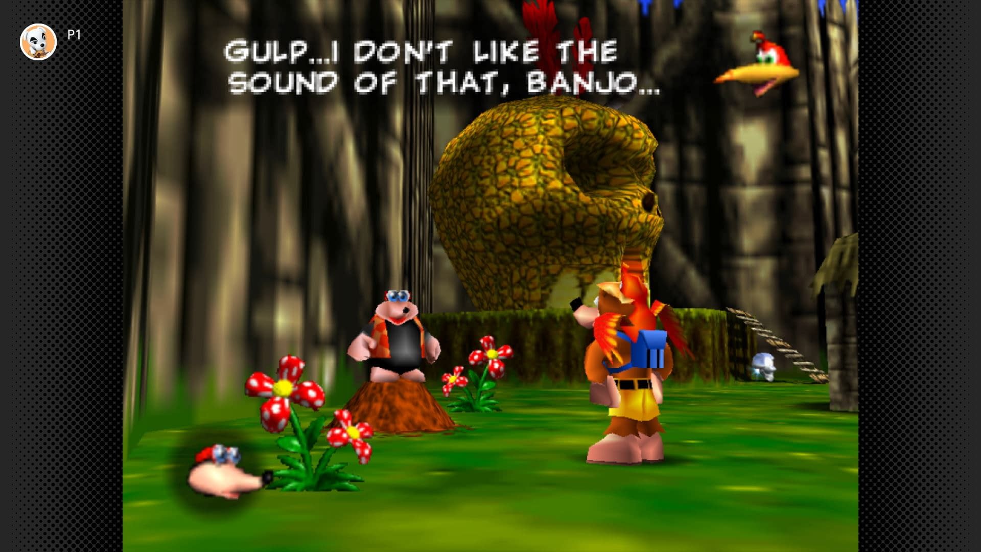 Banjo-Kazooie Joins The Nintendo Switch Online N64 Expansion Pack