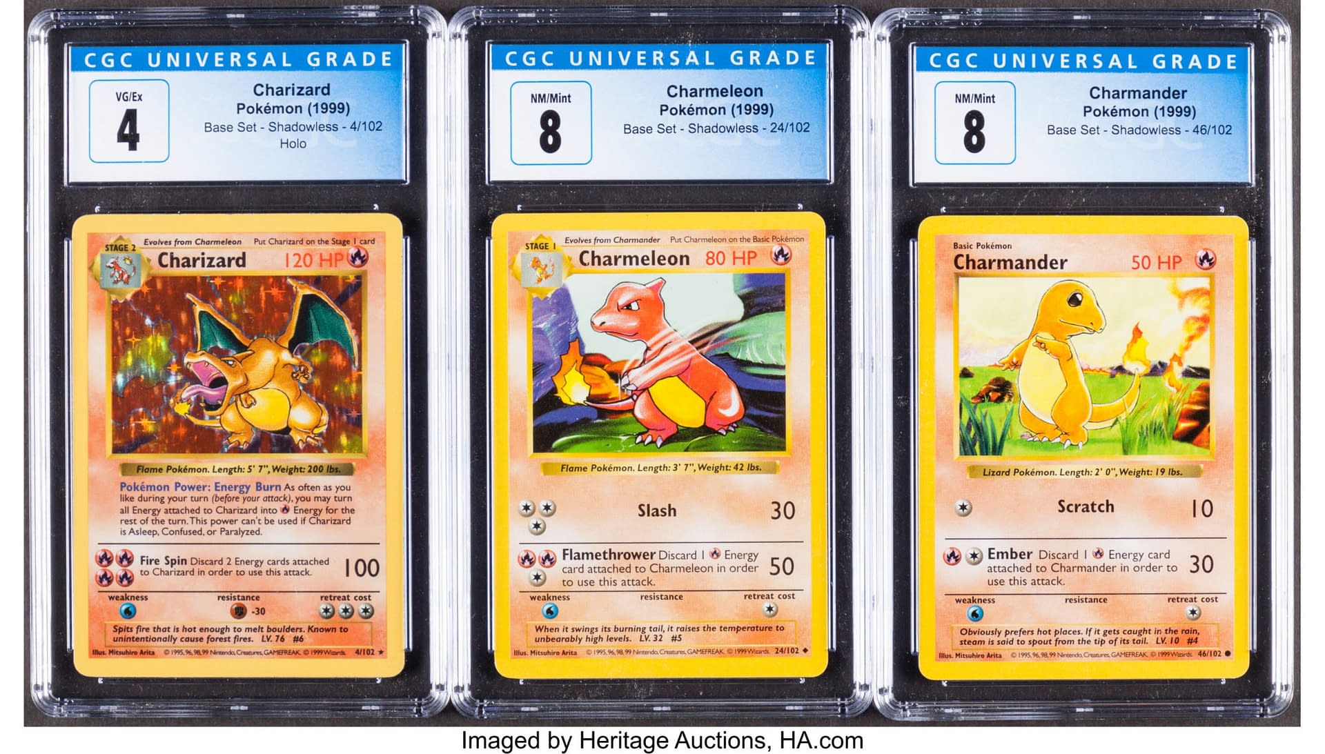 Pokedex for a Graded Pokemon Card