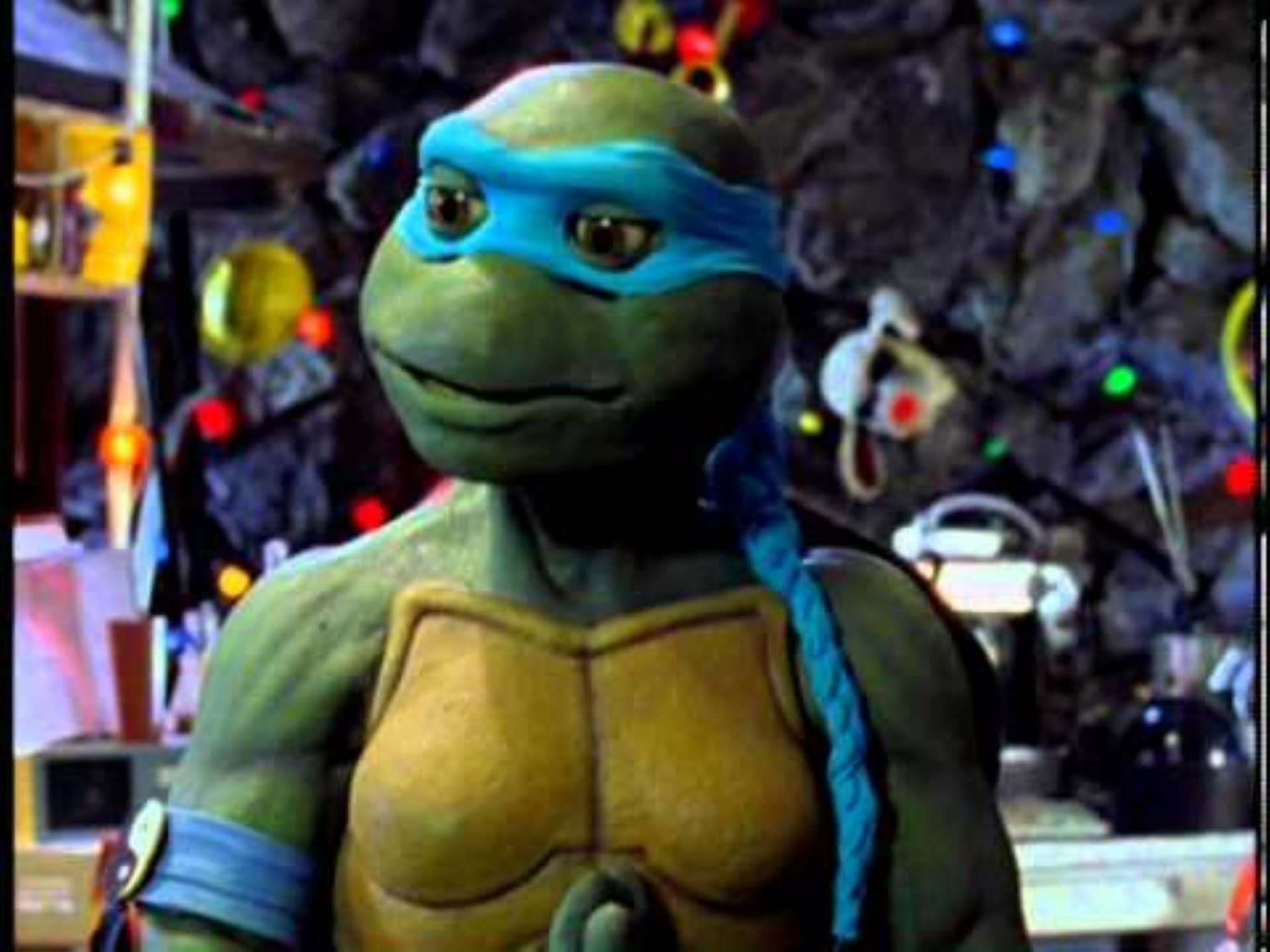 first-female-turtle-venus-turns-up-most-of-her-in-tmnt-127