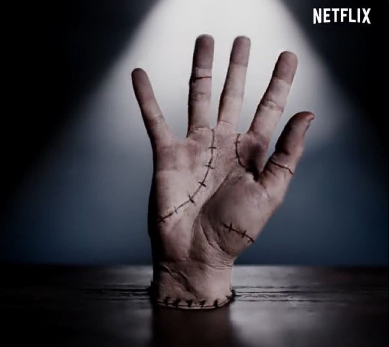 Wednesday Netflix TV Show Cast on Working With Director Tim Burton