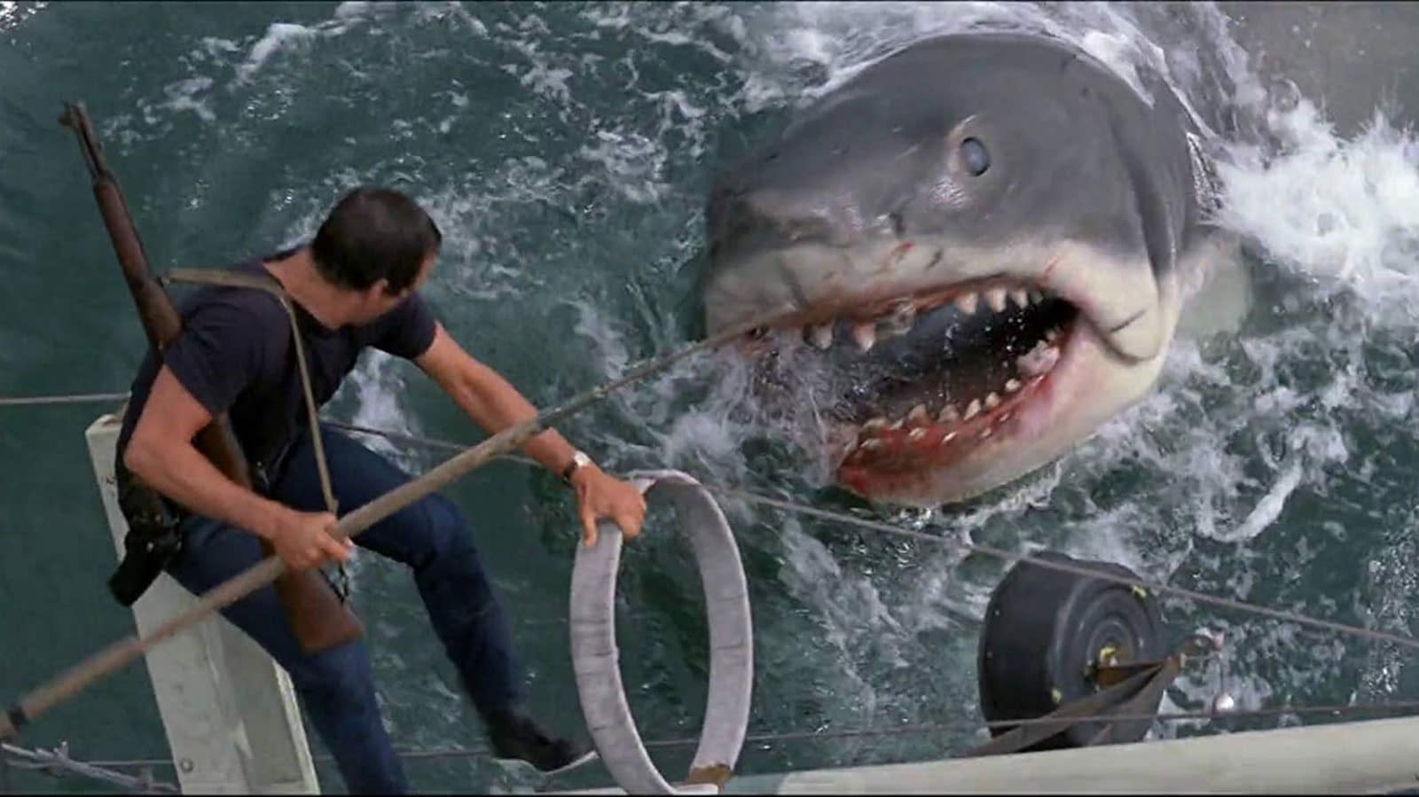 sailboat shark movie