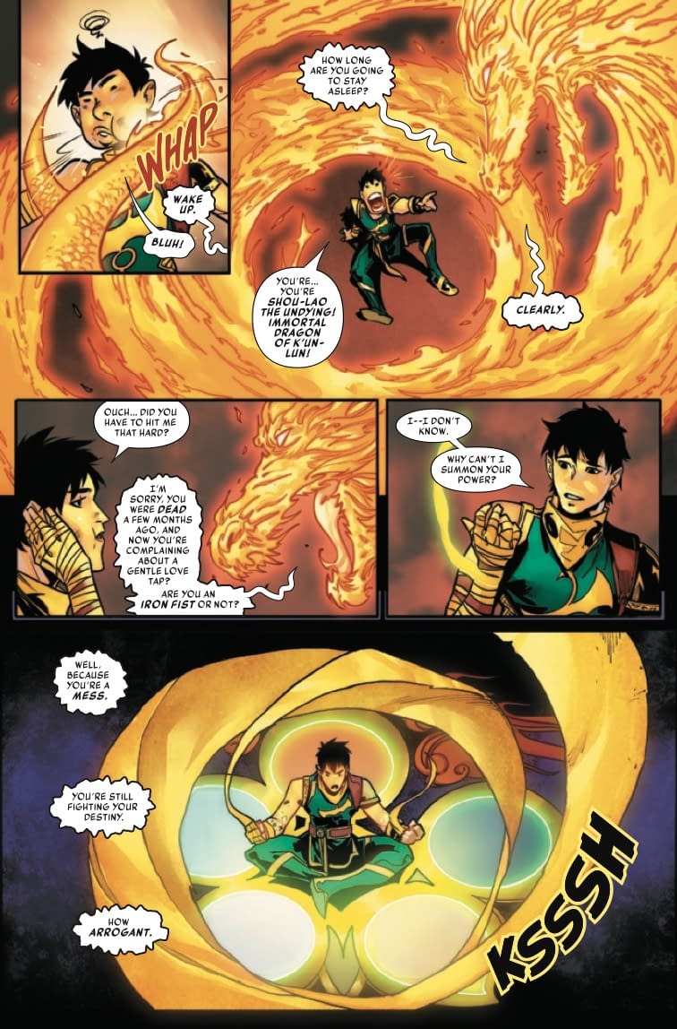 Pokemon IRON FIST 29