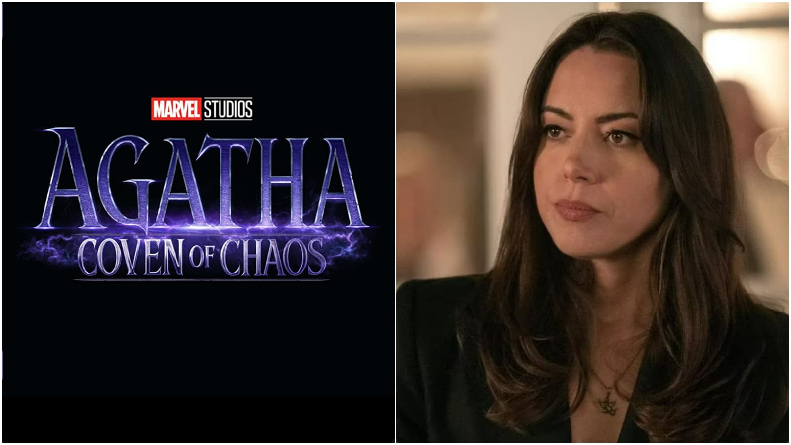 Aubrey Plaza's Role on Agatha: Coven of Chaos Reportedly Revealed