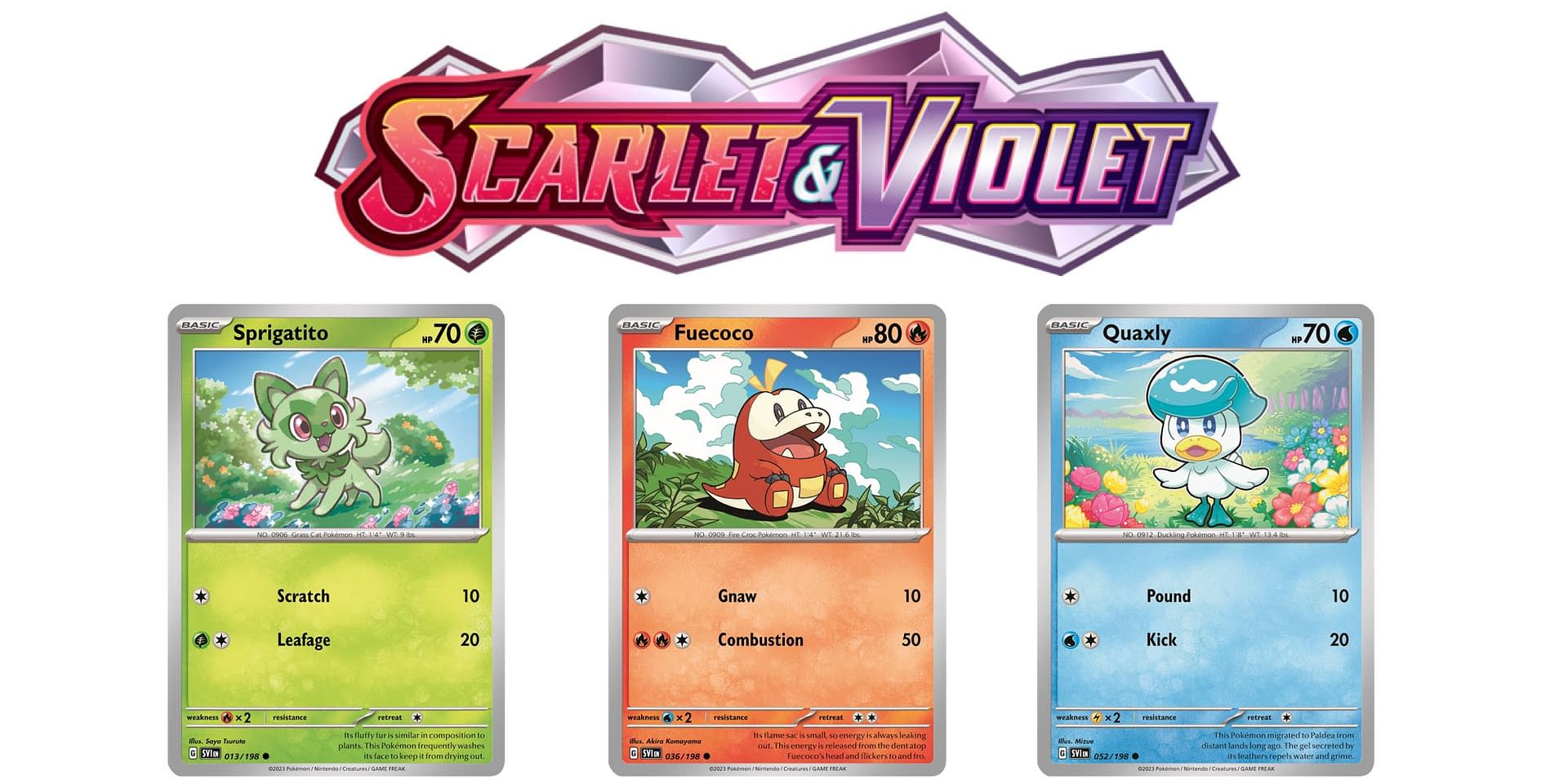 Newest Pokemon Cards 2024 Winne Karalynn