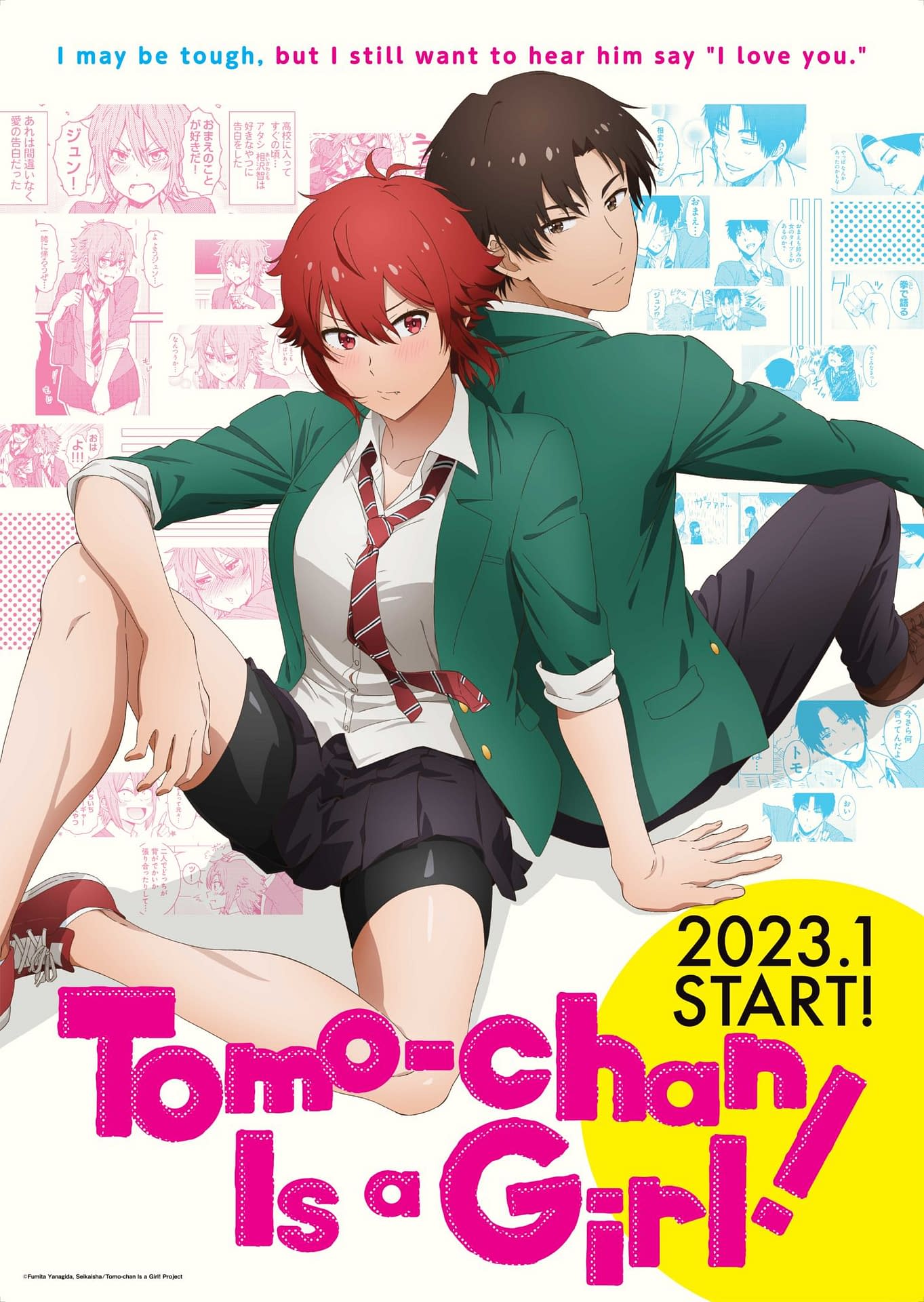 Tomo Chan Is A Girl! in 2023  Anime art girl, Anime art, Cute