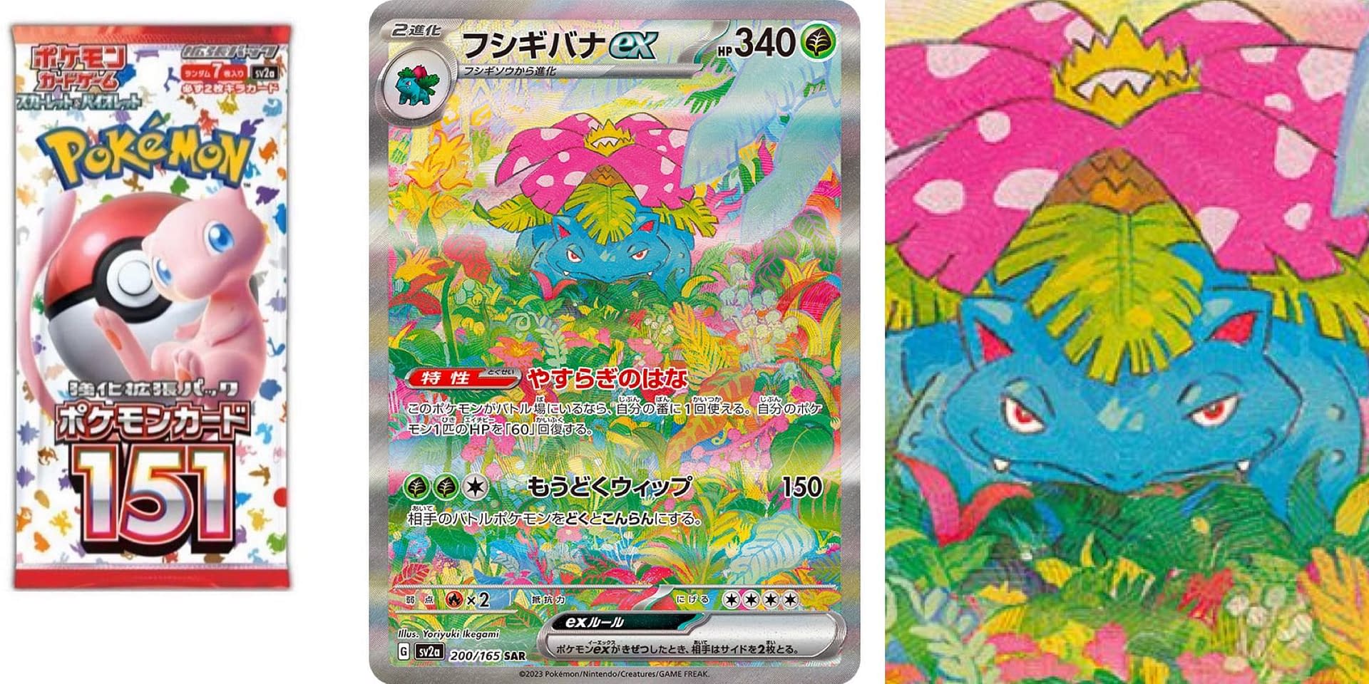 Pokémon TCG Reveals Pokémon Card 151 Venusaur Illustration Rare