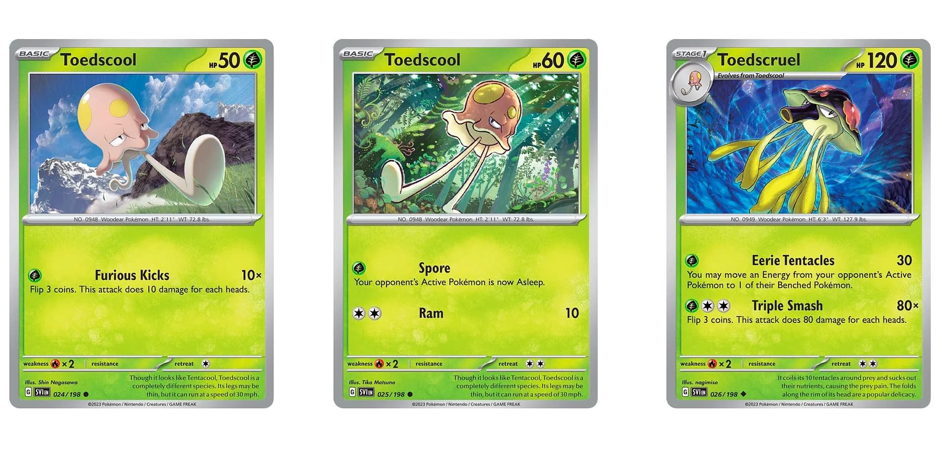 Toedscool Pokemon Card Guaranteed Quality Ids deutschland de